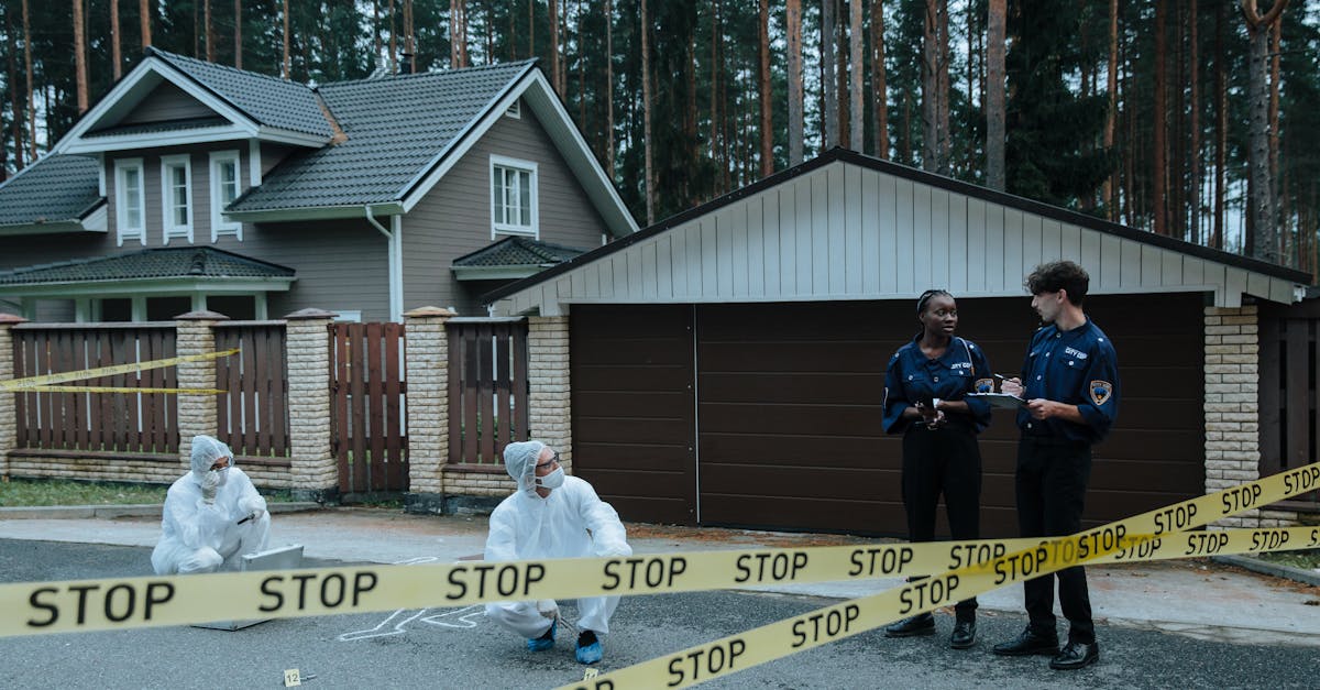 铁塔猫红酒爆珠（粗）：苏州儿童餐椅代理平台