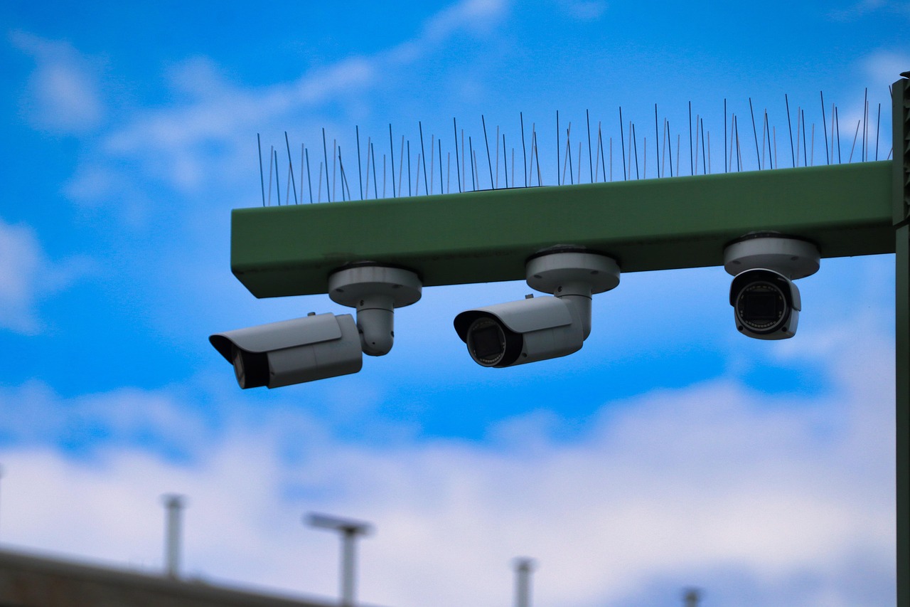 新石器时代:租车app详情下载教程