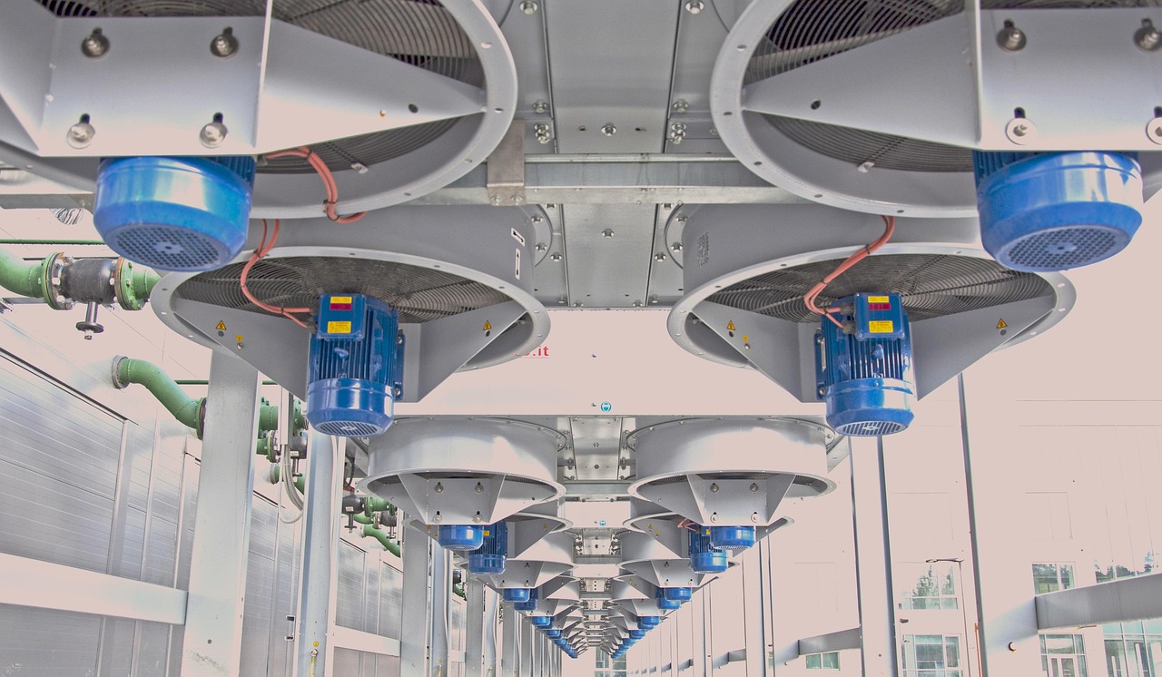 DDOS攻击|美国食品代理怎么注册