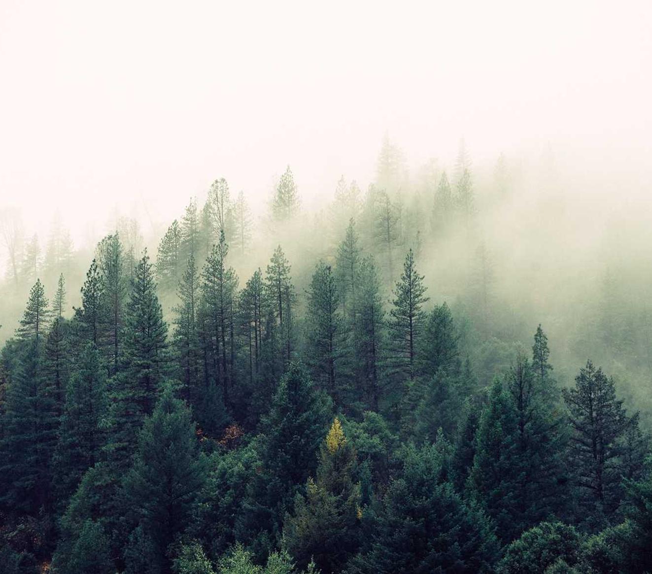 “既然游戏公司非常反感技术支持辅助软件，为什么不直接采取更加严格的手段？” 