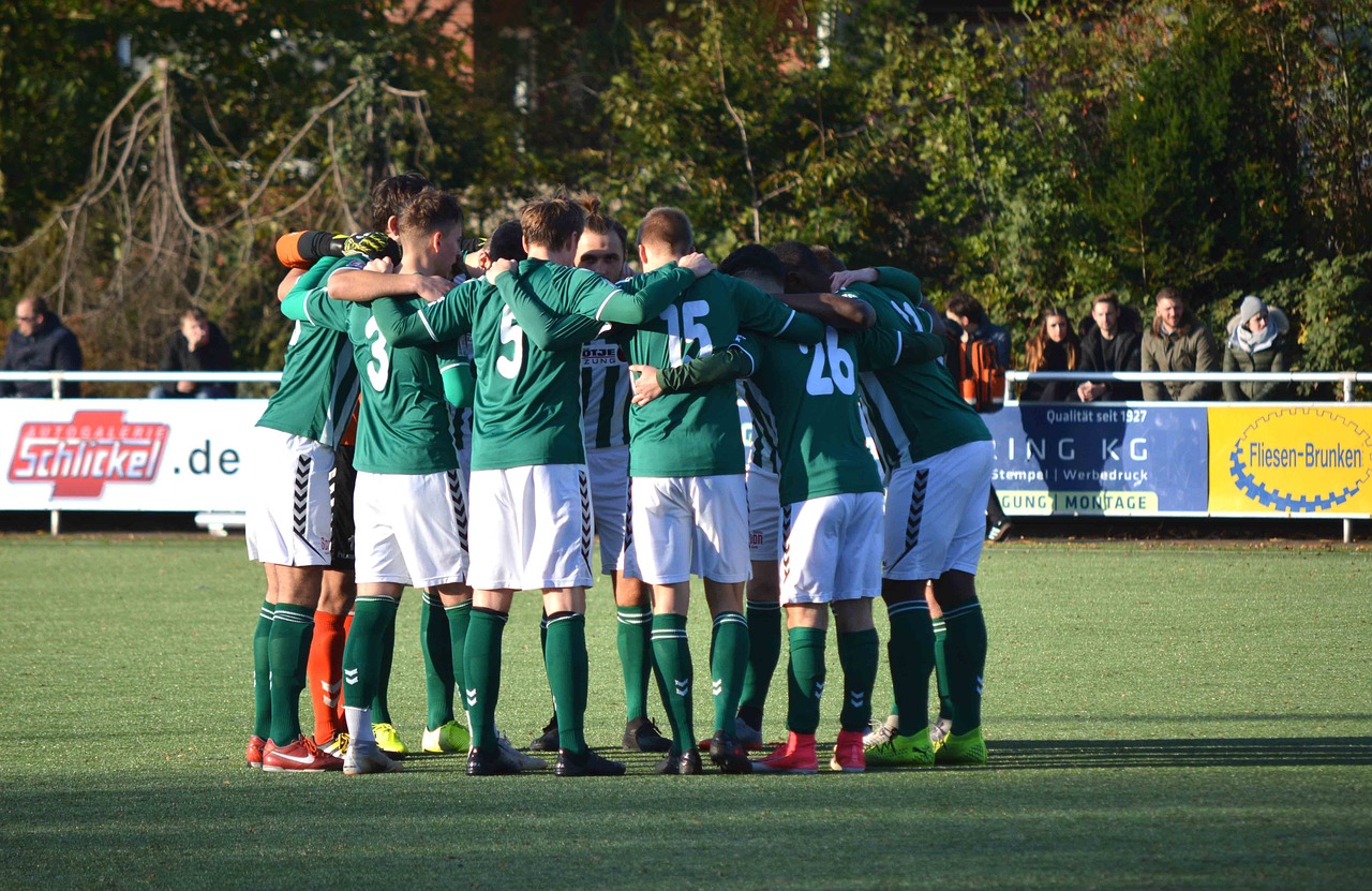 众鑫神雕侠侣购买平台