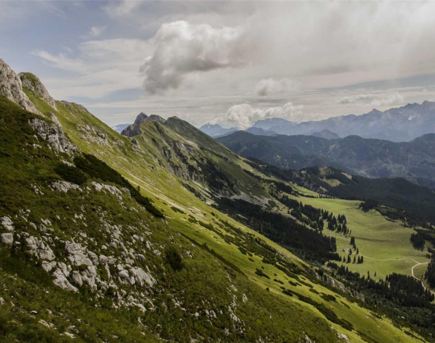 VX账号买卖：剑网三为啥注册不了账号