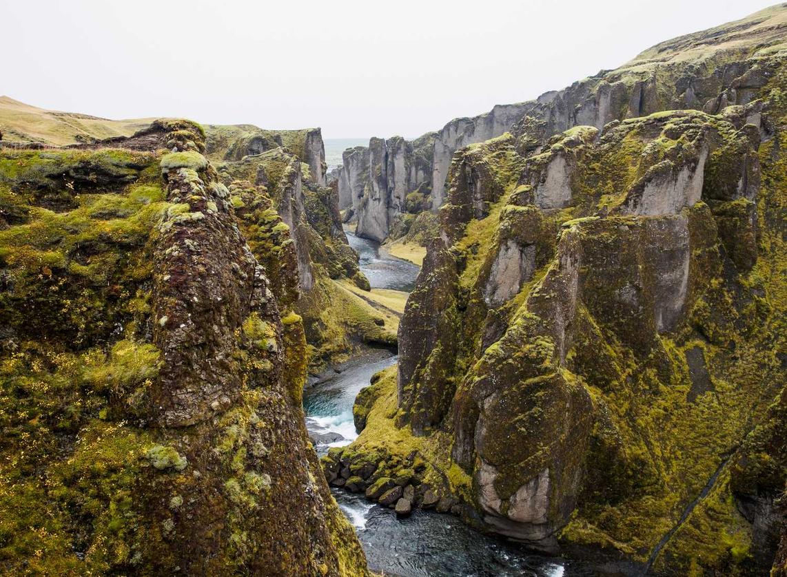 贝纳查比华士 Brevas（12支）：招财猫账号如何注册不了