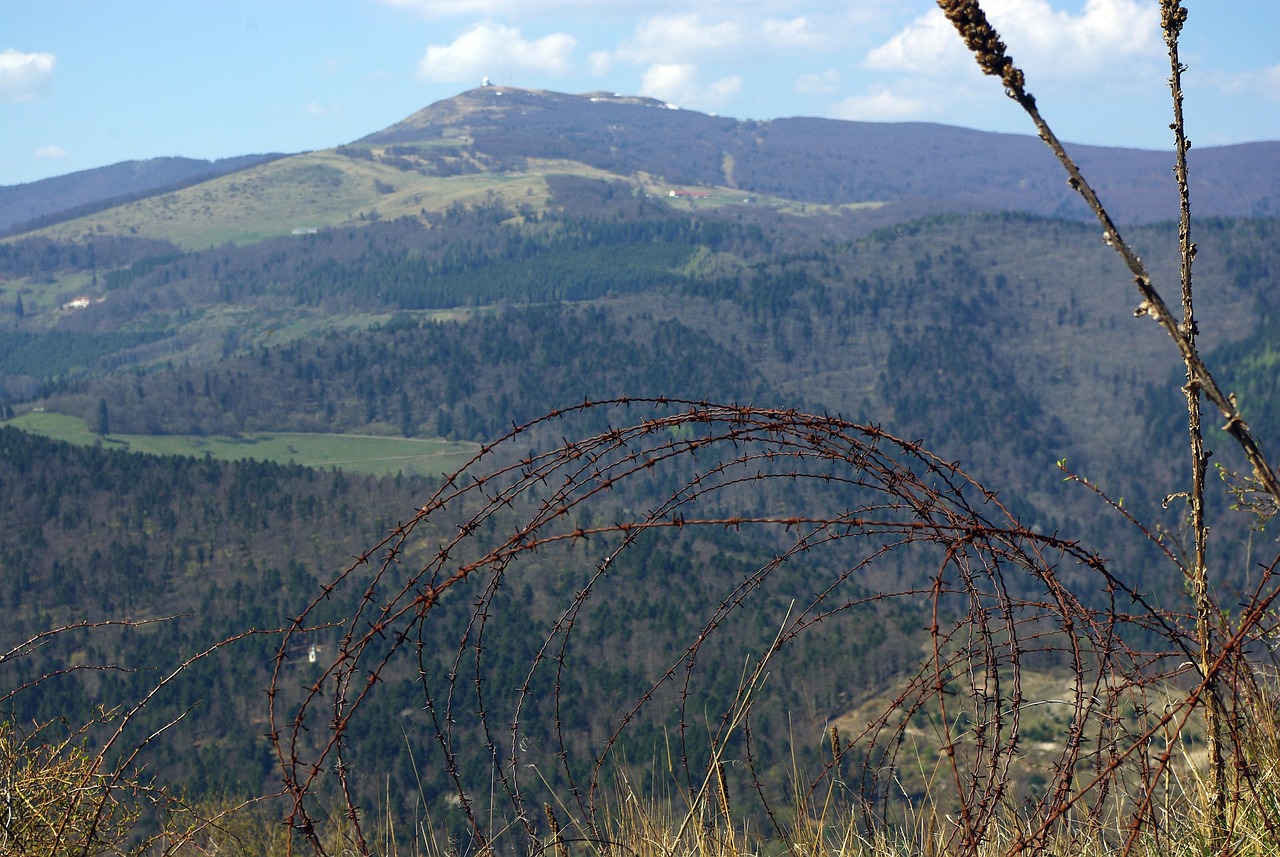 如何使用SEO工具来提高网站的排名