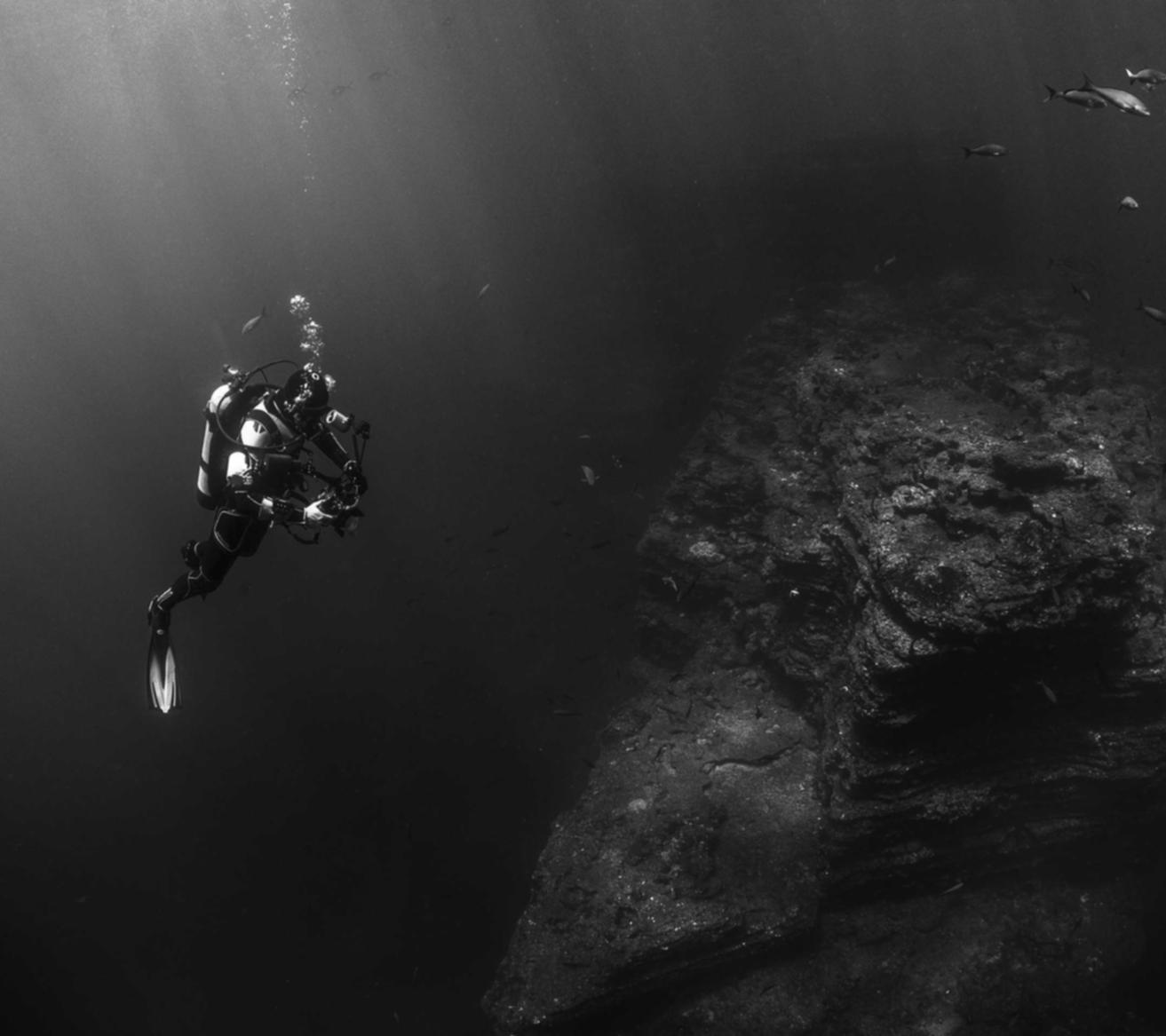 华润2护宝星app详情下载教程