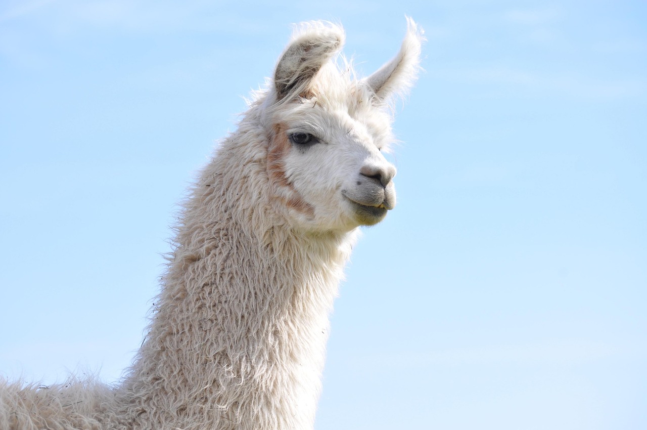 微信小号买卖：实名账号管理的法律机制