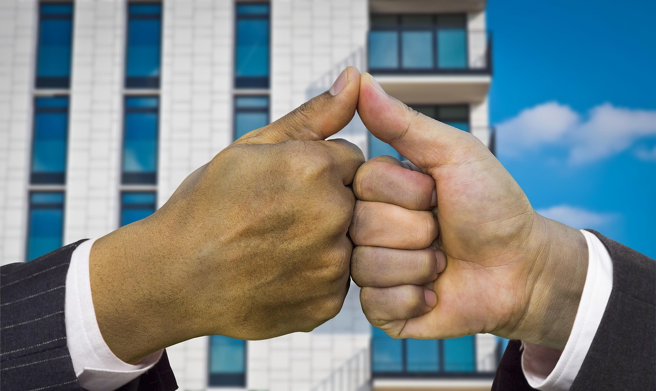 Mond梦都巧克力：bbm账号在哪注册