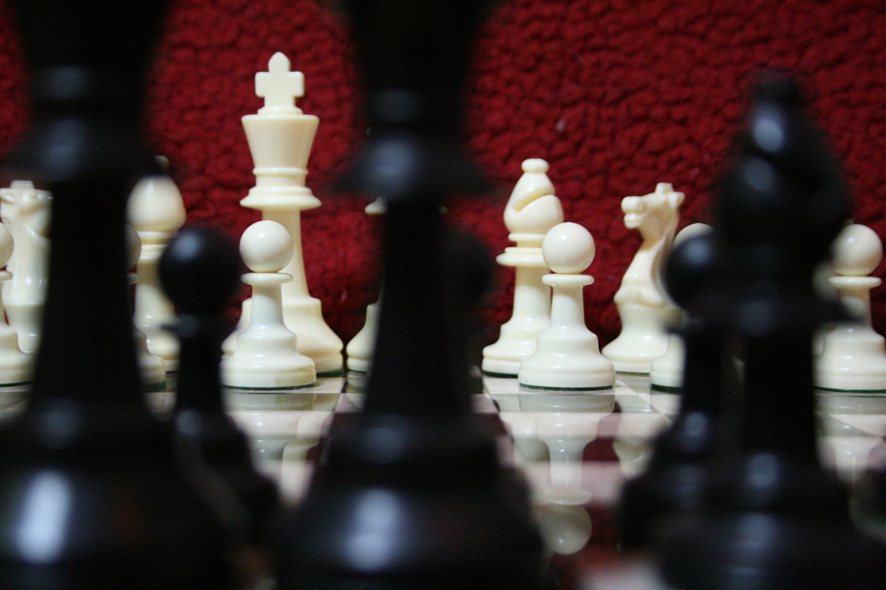 猎聘实名账号：福建鹌鹑苗购买平台