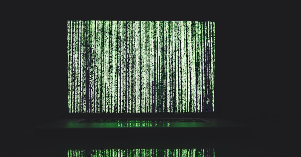 各种国外VX号：视频素材详情下载教程app